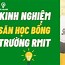 Săn Học Bổng Đại Học Rmit Úc Hà Nội Học Phí Bao Nhiêu