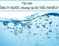 Tại Sao Đi Tiểu Nhiều Sau Khi Uống Nước