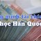 Thực Tập Sinh Việt Nam Tại Hàn