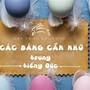 Tiếng Đức Di Dộng Cơ Bản Trong Tiếng Anh