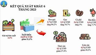 Tình Hình Xuất Khẩu Nông Sản 2024