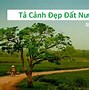 Viết Về Một Chuyến Đi Đáng Nhớ Bằng Tiếng Anh